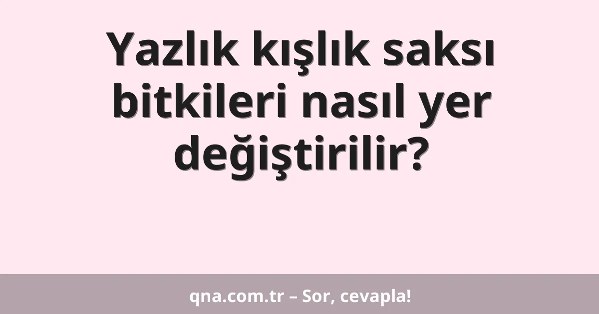 Yazlık kışlık saksı bitkileri nasıl yer değiştirilir?