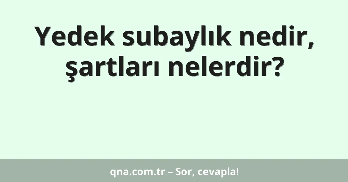 Yedek subaylık nedir, şartları nelerdir?