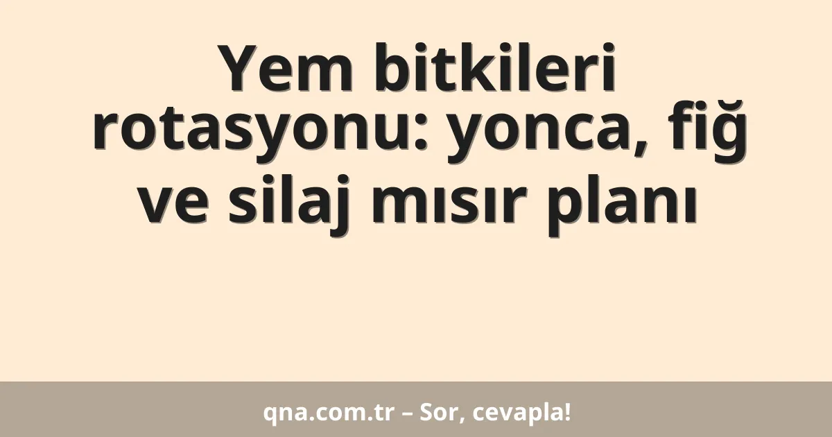 Yem bitkileri rotasyonu: yonca, fiğ ve silaj mısır planı