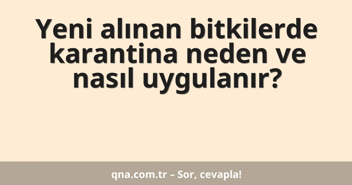 Yeni alınan bitkilerde karantina neden ve nasıl uygulanır?