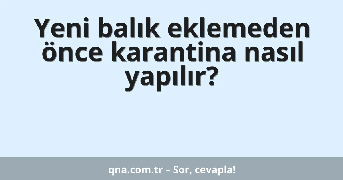 Yeni balık eklemeden önce karantina nasıl yapılır?