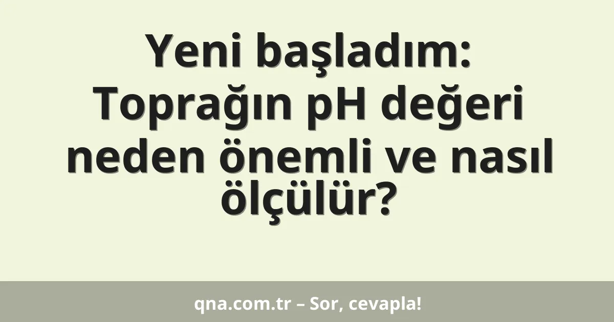 Yeni başladım: Toprağın pH değeri neden önemli ve nasıl ölçülür?