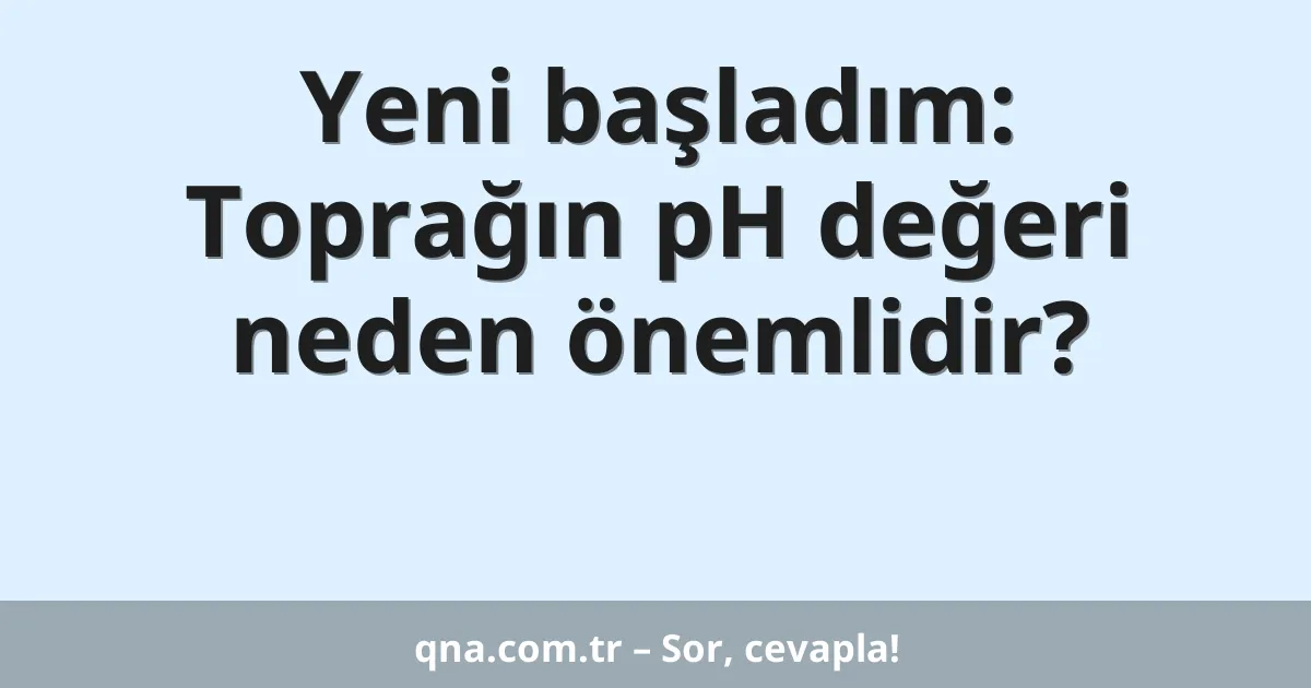 Yeni başladım: Toprağın pH değeri neden önemlidir?