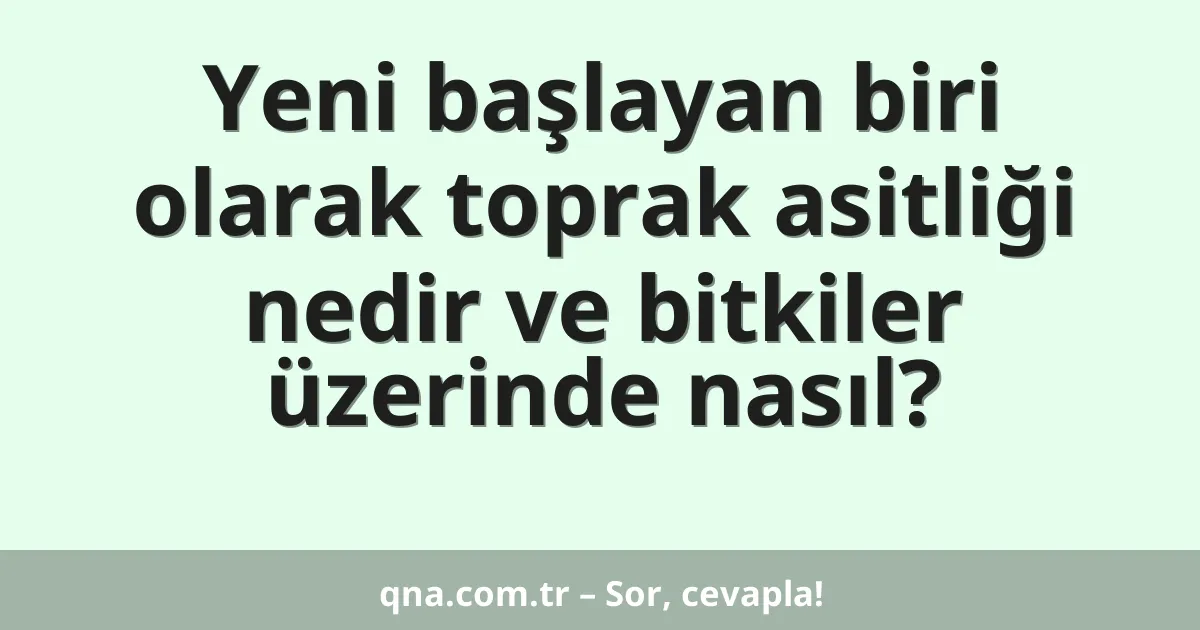 Yeni başlayan biri olarak toprak asitliği nedir ve bitkiler üzerinde nasıl?
