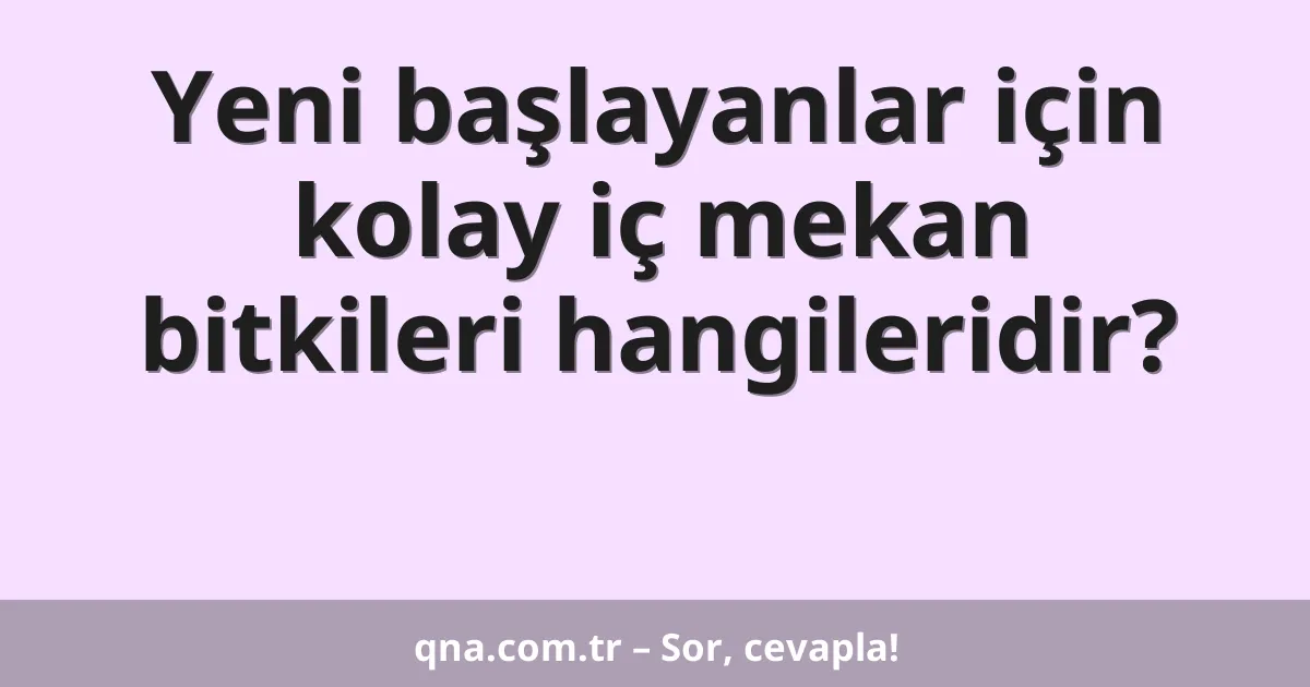 Yeni başlayanlar için kolay iç mekan bitkileri hangileridir?