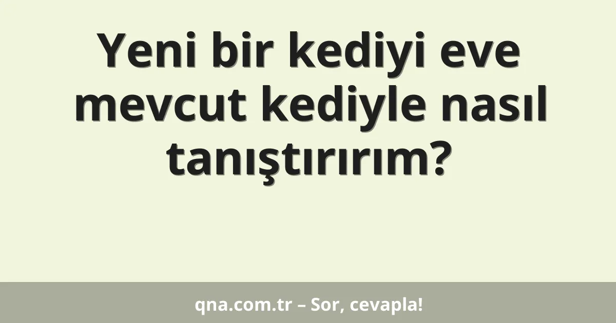 Yeni bir kediyi eve mevcut kediyle nasıl tanıştırırım?
