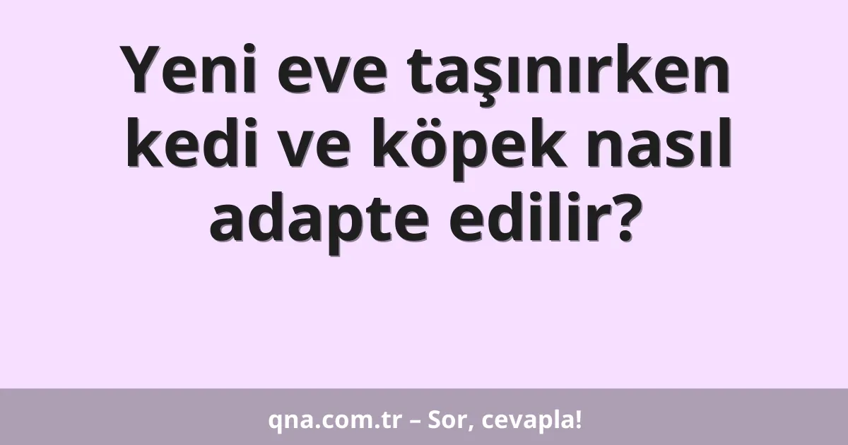 Yeni eve taşınırken kedi ve köpek nasıl adapte edilir?