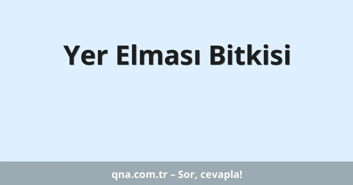 Yer Elması Bitkisi