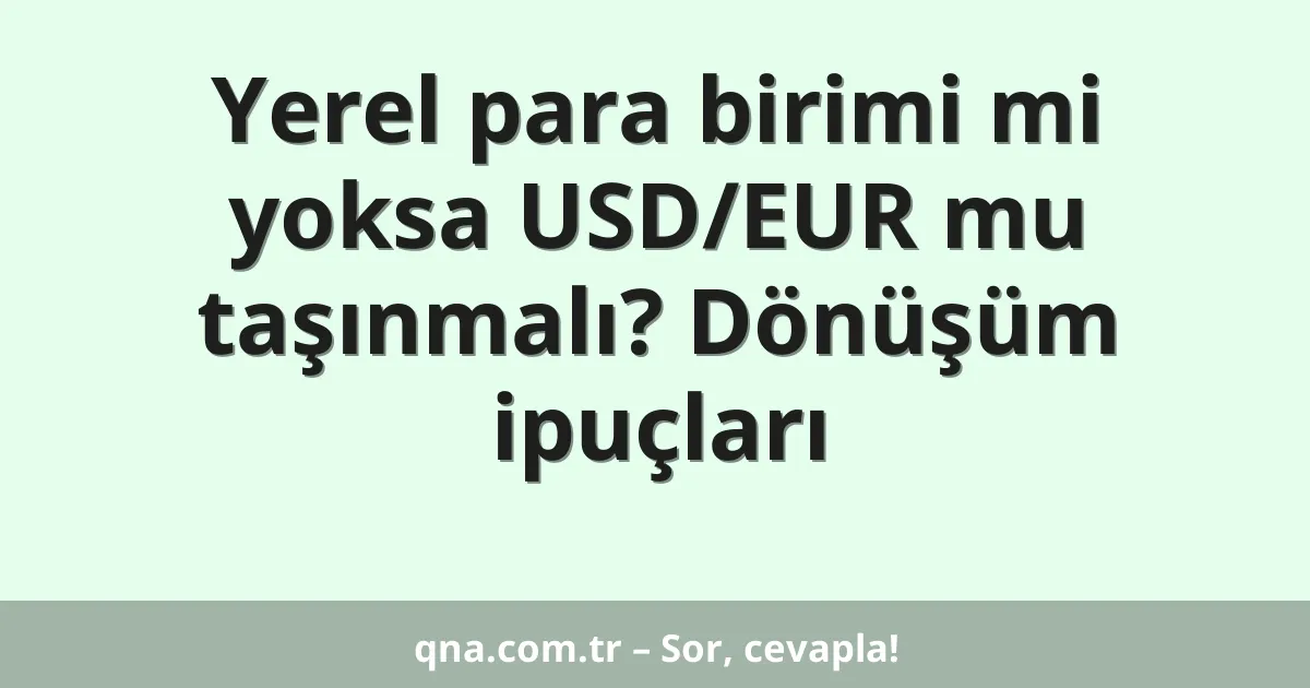 Yerel para birimi mi yoksa USD/EUR mu taşınmalı? Dönüşüm ipuçları
