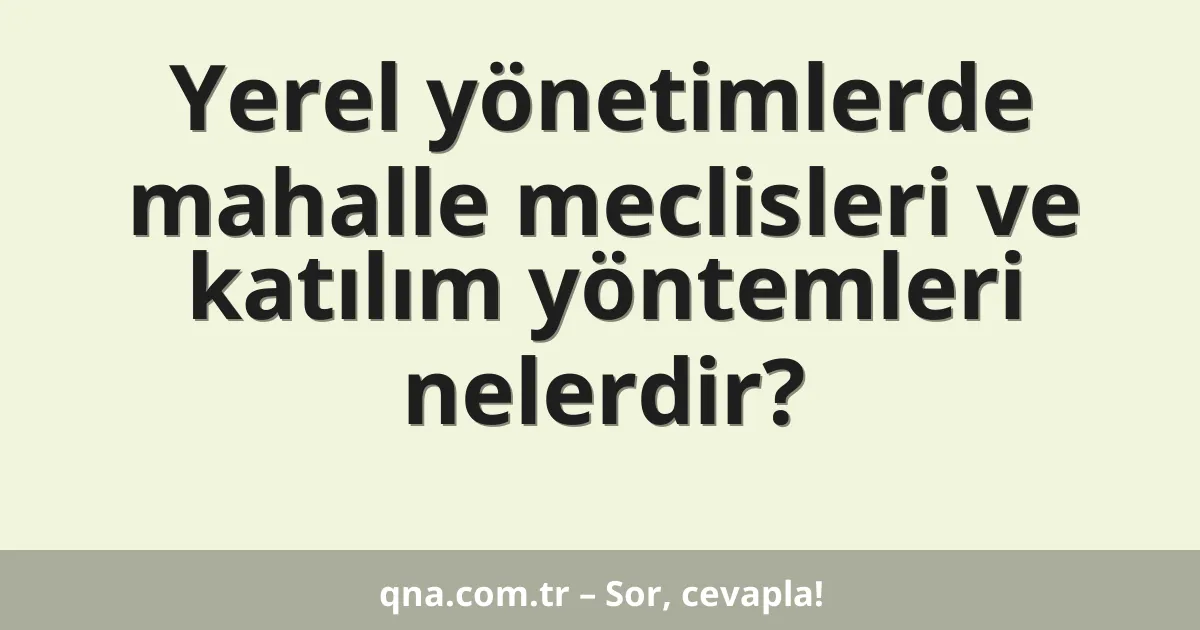 Yerel yönetimlerde mahalle meclisleri ve katılım yöntemleri nelerdir?