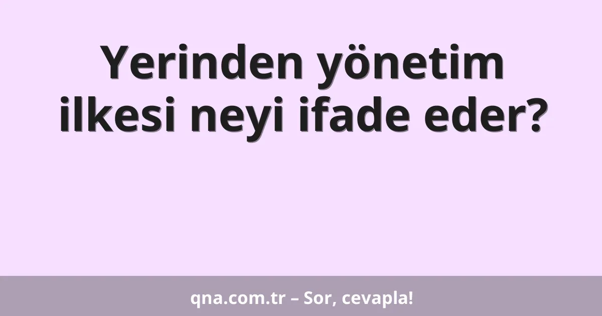 Yerinden yönetim ilkesi neyi ifade eder?