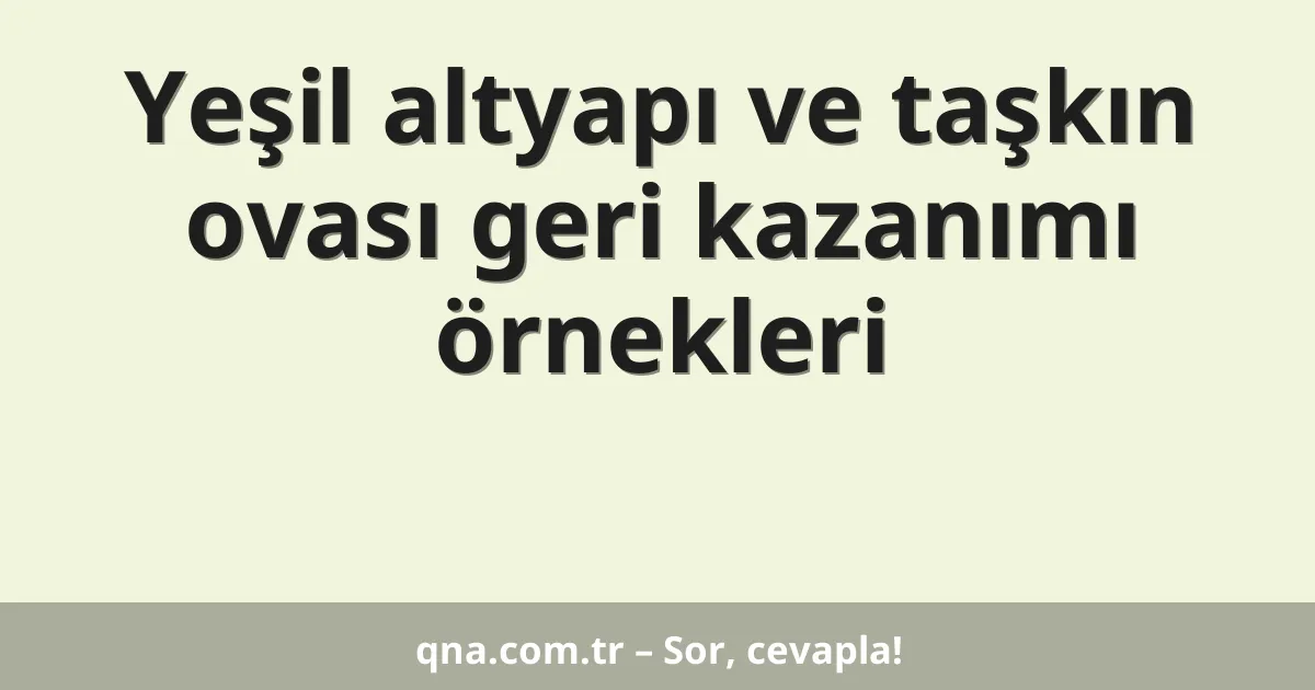 Yeşil altyapı ve taşkın ovası geri kazanımı örnekleri