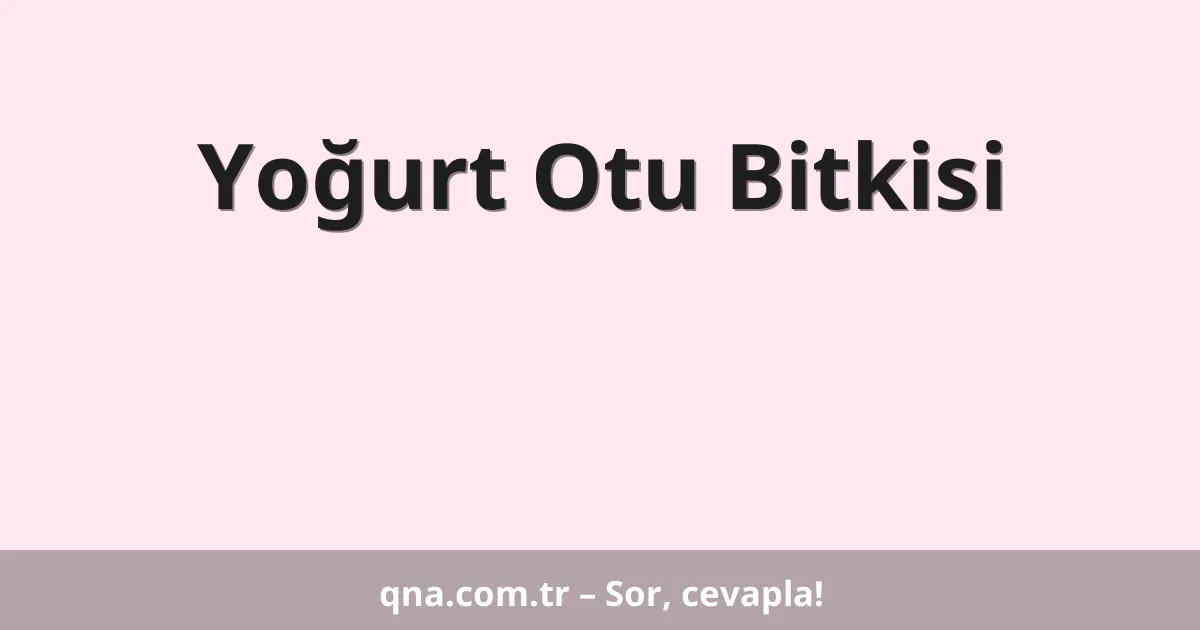 Yoğurt Otu Bitkisi