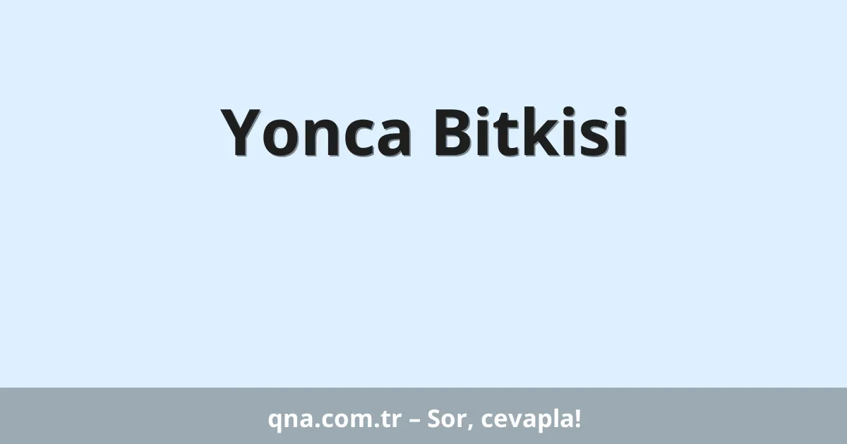 Yonca Bitkisi