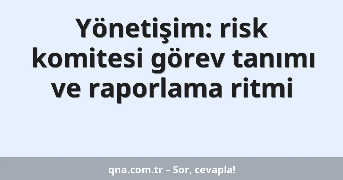 Yönetişim: risk komitesi görev tanımı ve raporlama ritmi