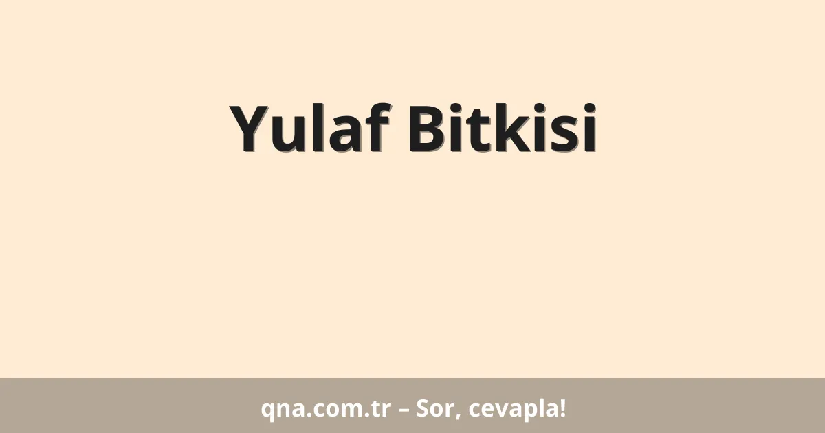 Yulaf Bitkisi