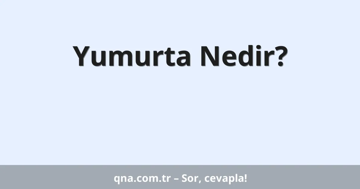 Yumurta Nedir?