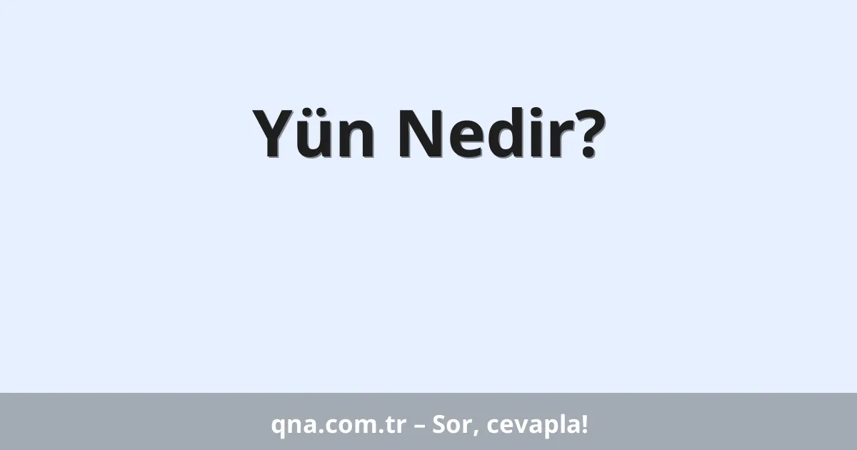 Yün Nedir?