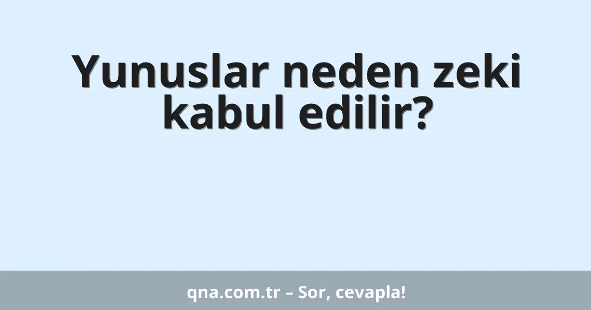 Yunuslar neden zeki kabul edilir?