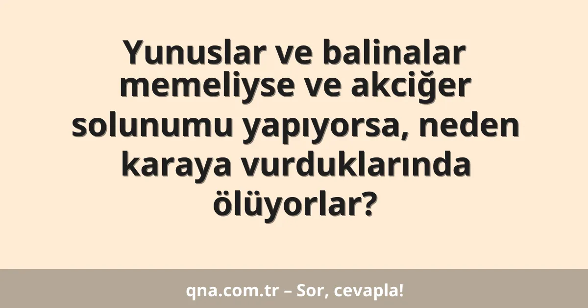 Yunuslar ve balinalar memeliyse ve akciğer solunumu yapıyorsa, neden karaya vurduklarında ölüyorlar?