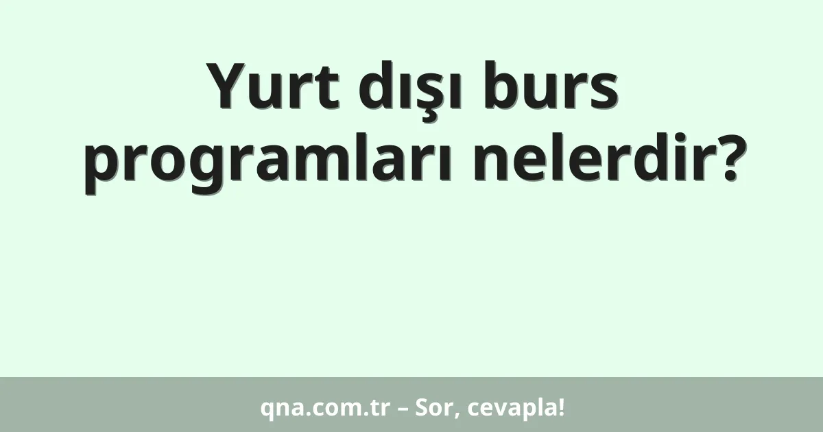 Yurt dışı burs programları nelerdir?