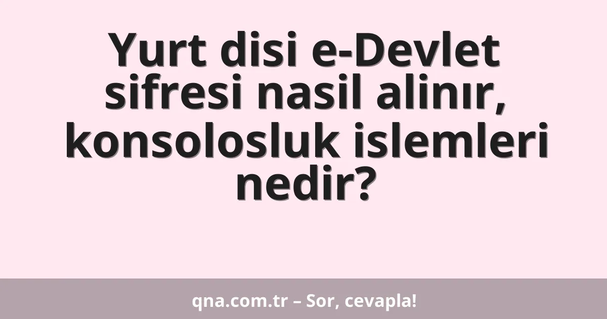 Yurt disi e-Devlet sifresi nasil alinır, konsolosluk islemleri nedir?