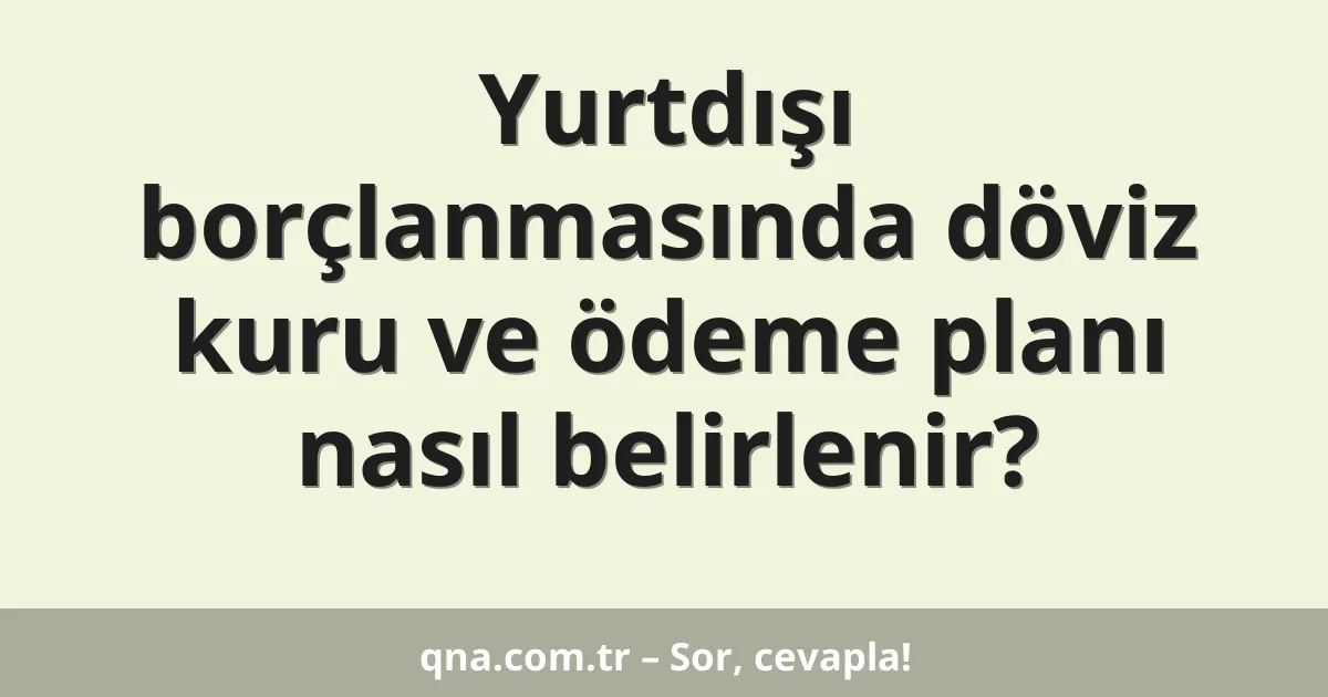 Yurtdışı borçlanmasında döviz kuru ve ödeme planı nasıl belirlenir?