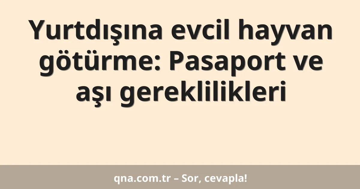 Yurtdışına evcil hayvan götürme: Pasaport ve aşı gereklilikleri