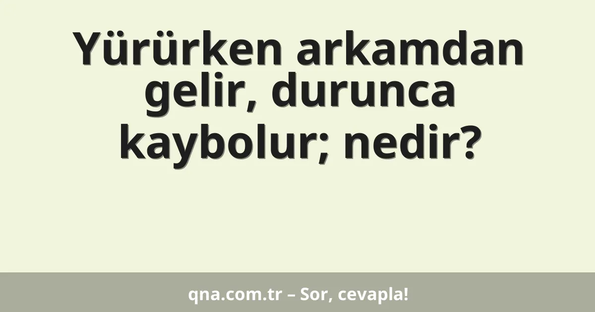 Yürürken arkamdan gelir, durunca kaybolur; nedir?