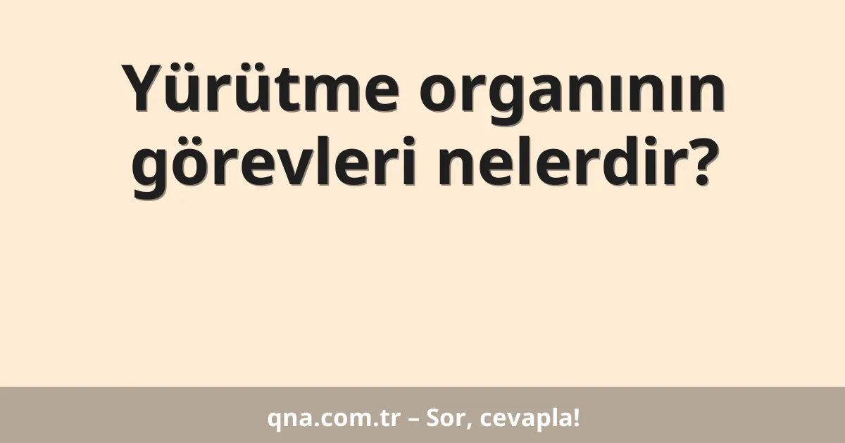 Yürütme organının görevleri nelerdir?