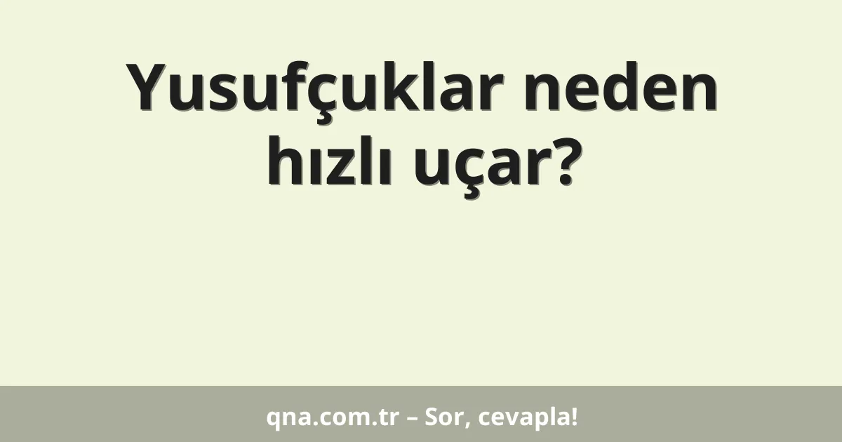 Yusufçuklar neden hızlı uçar?