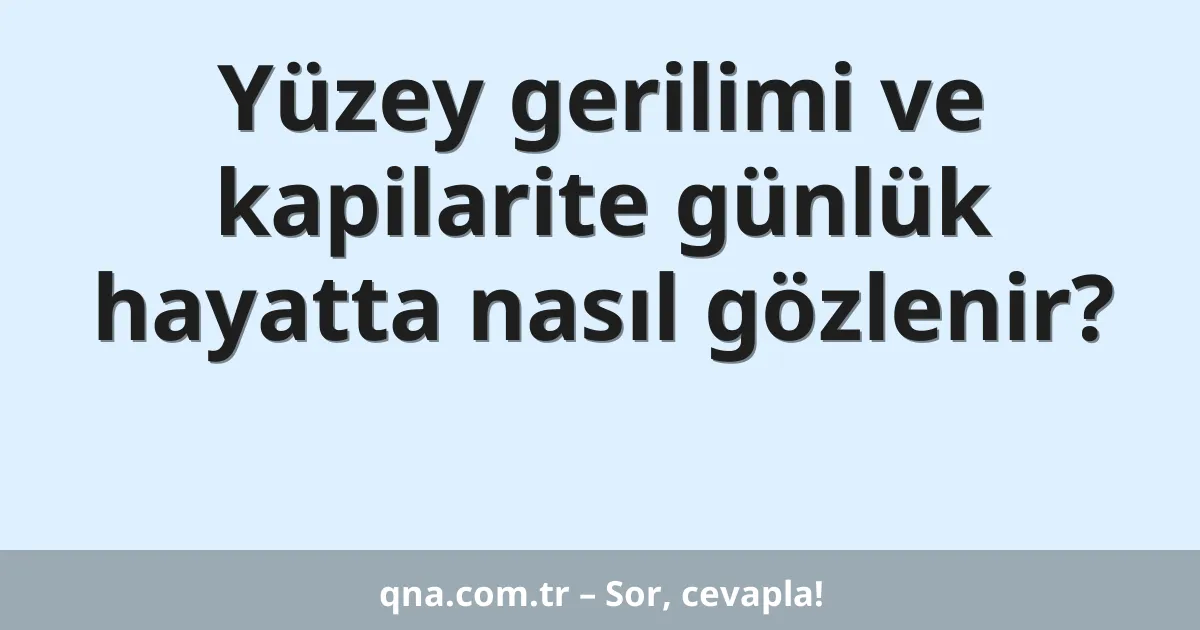 Yüzey gerilimi ve kapilarite günlük hayatta nasıl gözlenir?