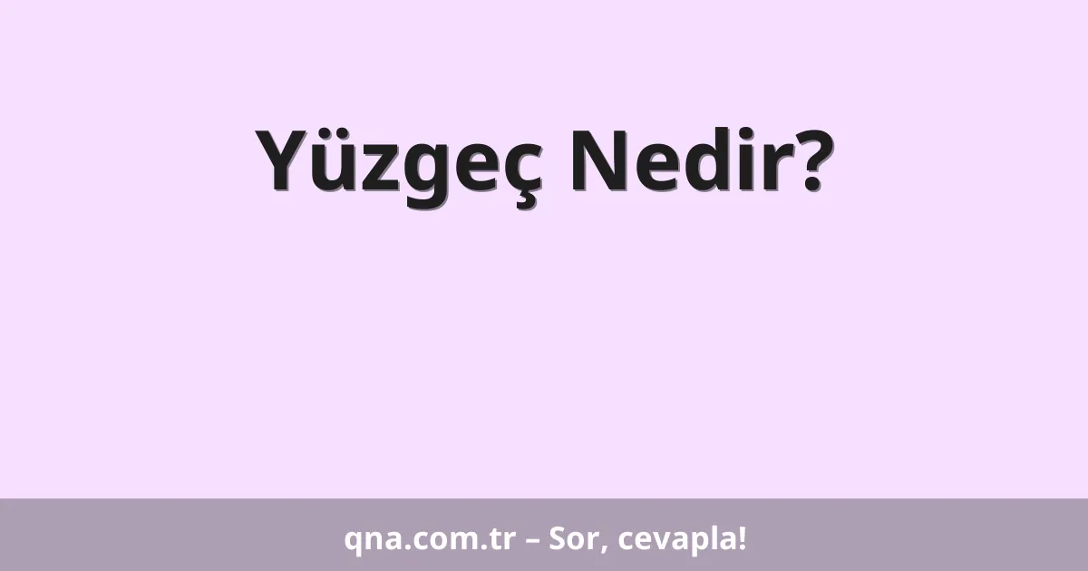 Yüzgeç Nedir?