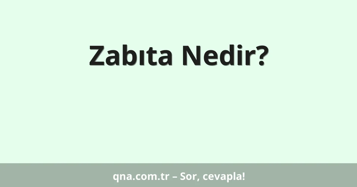 Zabıta Nedir?