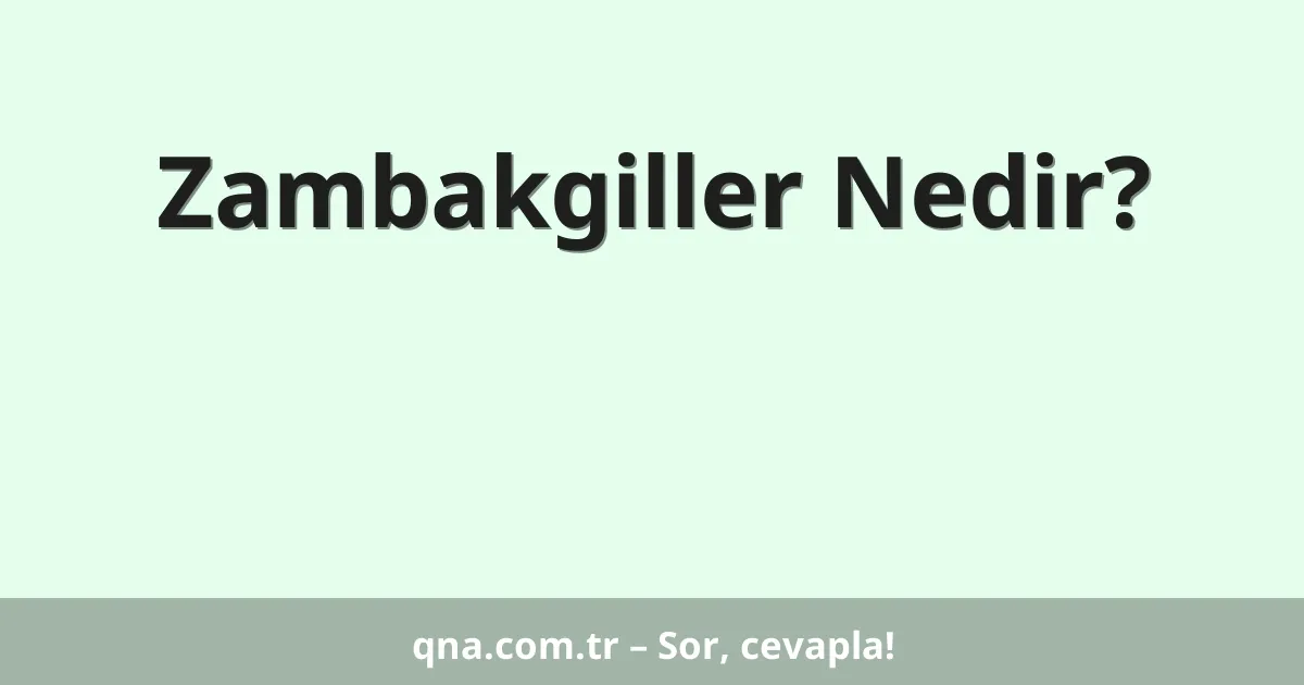 Zambakgiller Nedir?