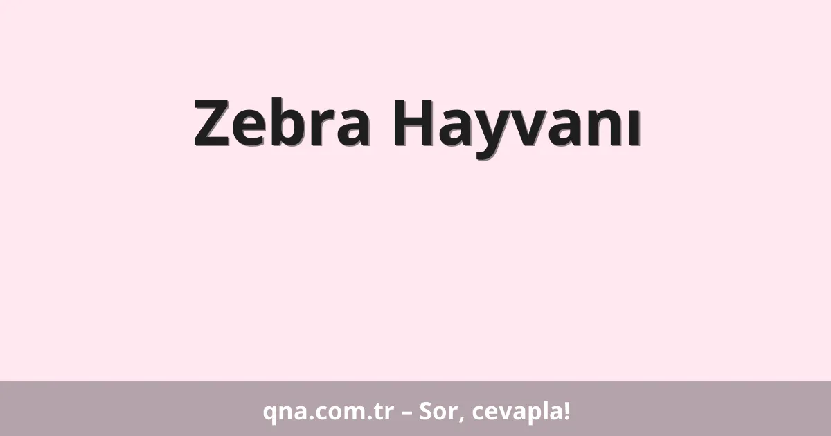 Zebra Hayvanı