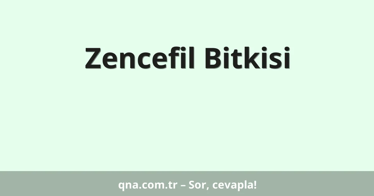 Zencefil Bitkisi