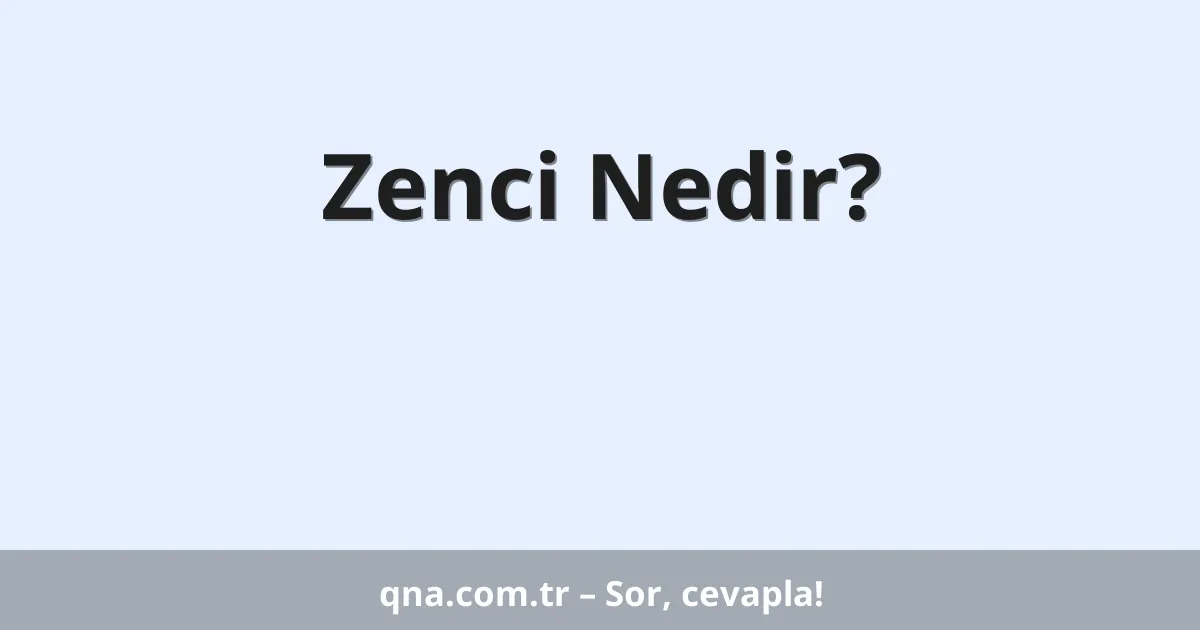 Zenci Nedir?