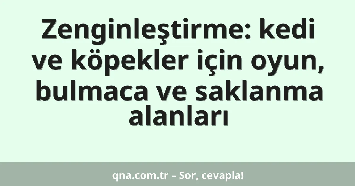 Zenginleştirme: kedi ve köpekler için oyun, bulmaca ve saklanma alanları