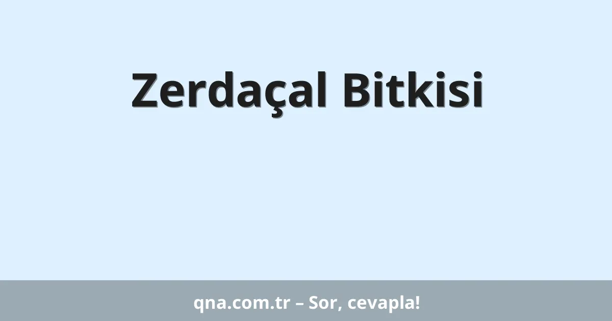 Zerdaçal Bitkisi