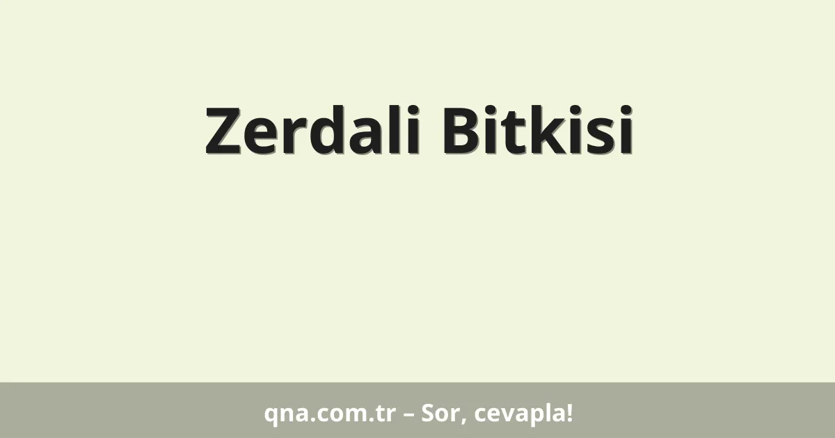 Zerdali Bitkisi