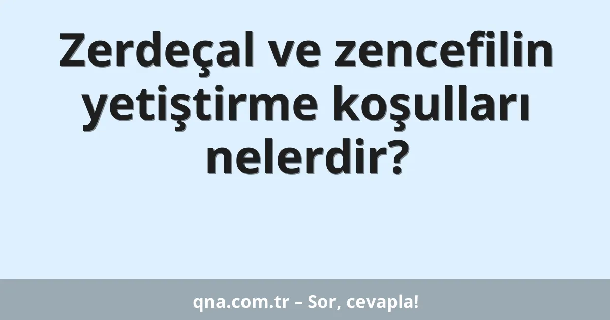 Zerdeçal ve zencefilin yetiştirme koşulları nelerdir?