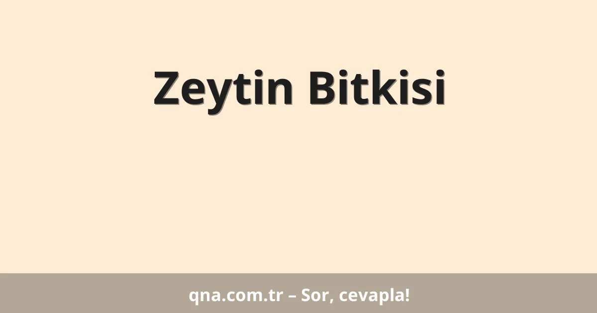 Zeytin Bitkisi
