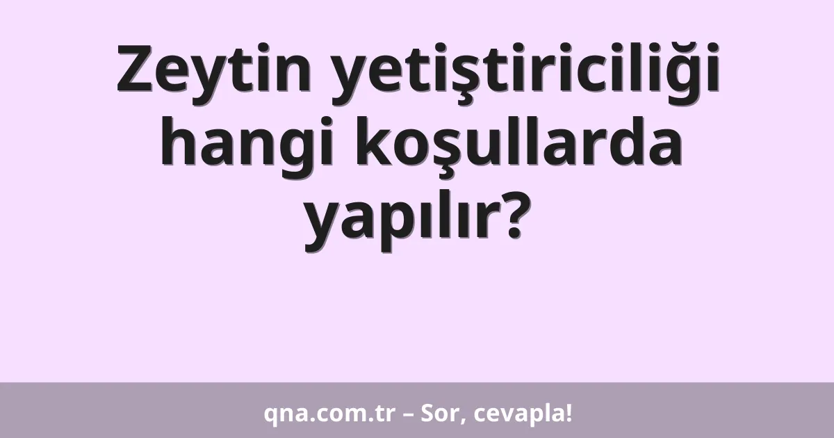 Zeytin yetiştiriciliği hangi koşullarda yapılır?