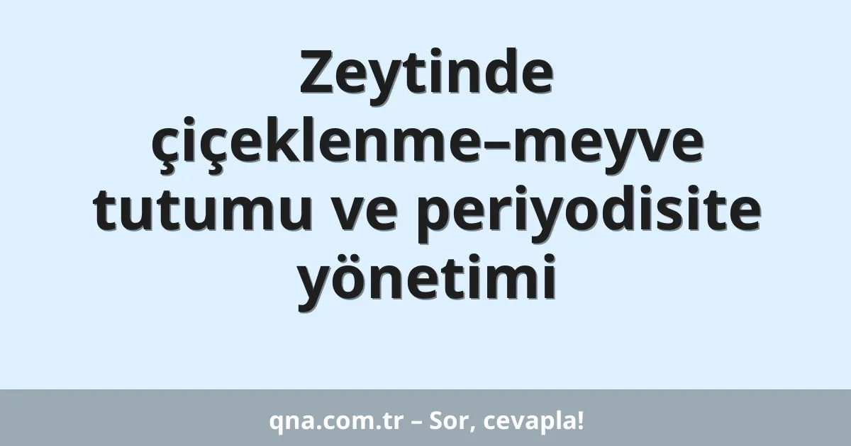 Zeytinde çiçeklenme–meyve tutumu ve periyodisite yönetimi