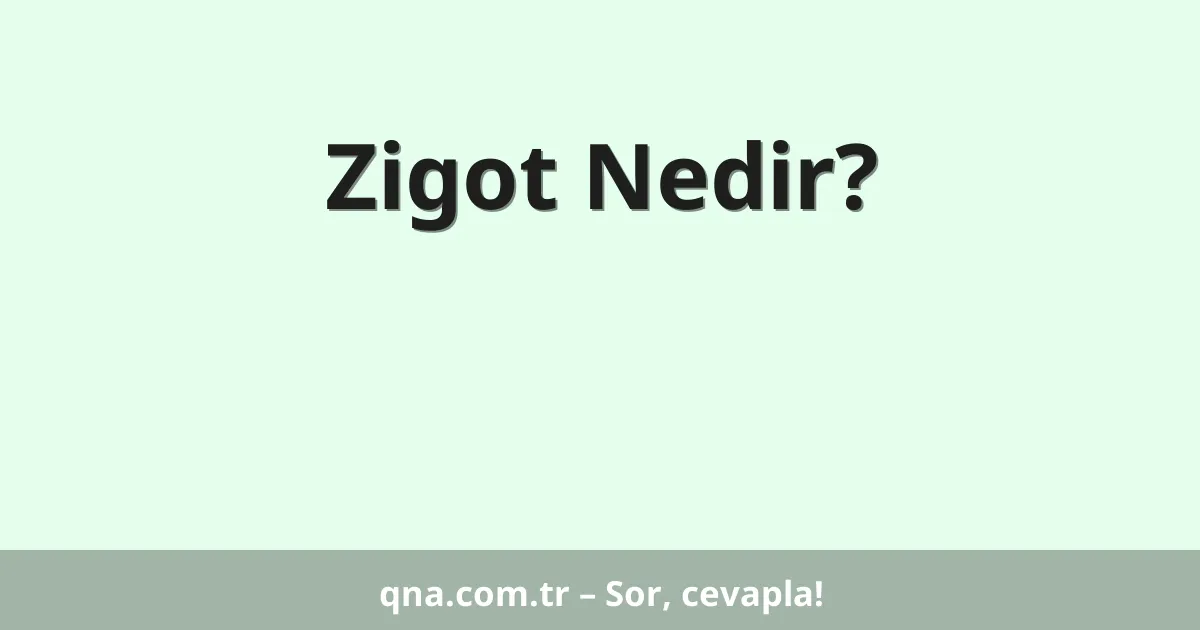 Zigot Nedir?