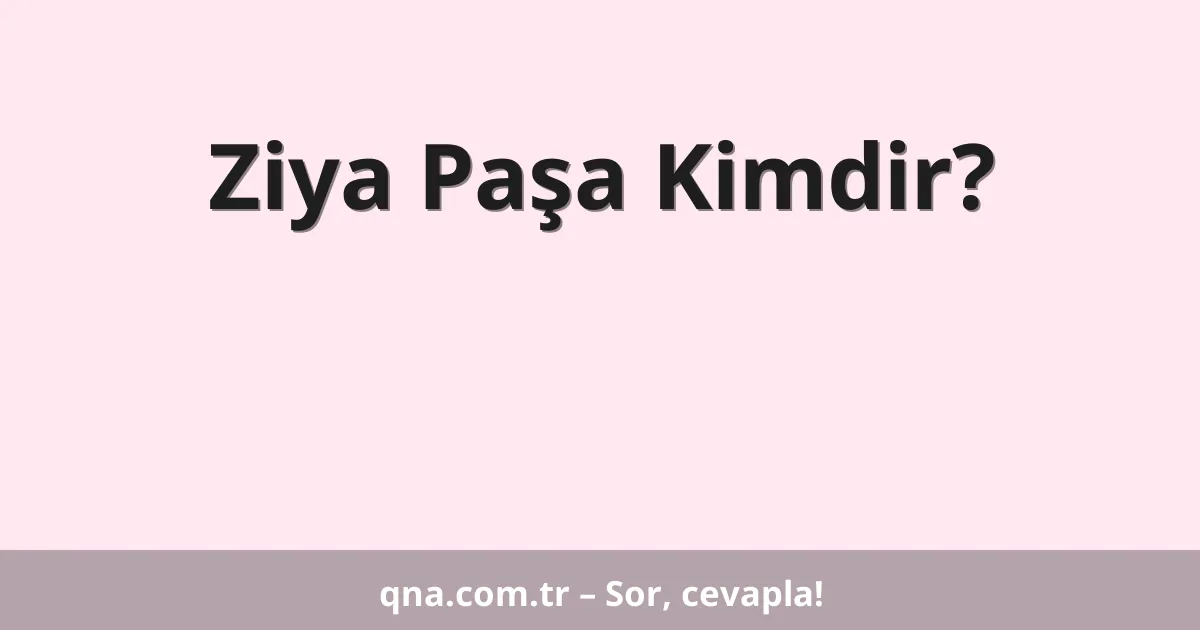 Ziya Paşa Kimdir?