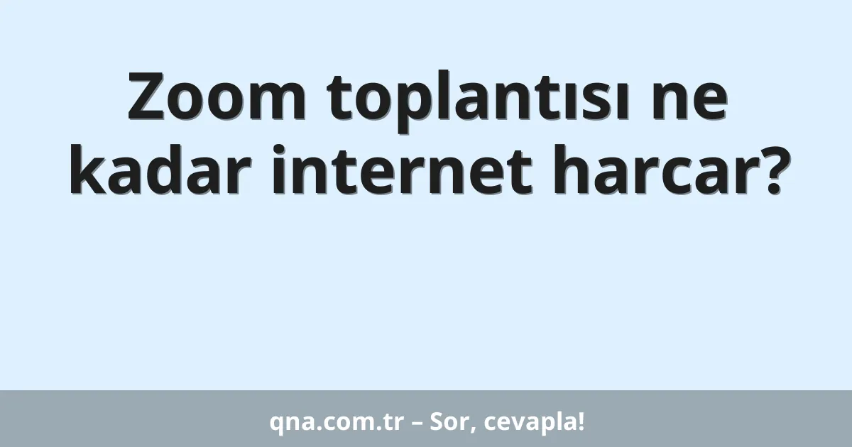 Zoom toplantısı ne kadar internet harcar?